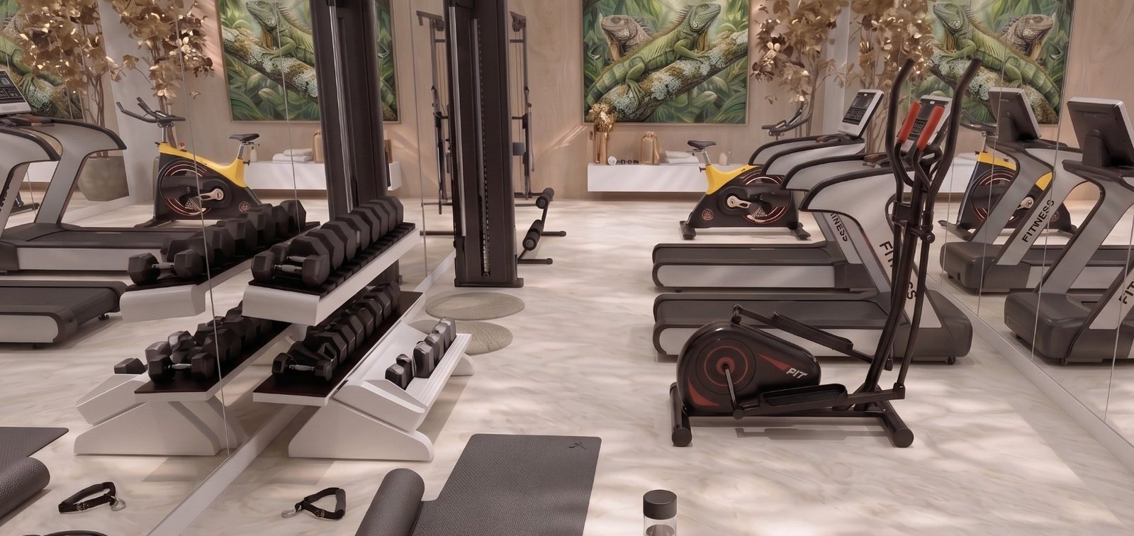 Gimnasio